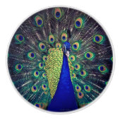 Cobalt Blue Peacock Keramikknauf (Vorderseite)