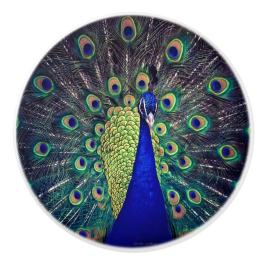 Cobalt Blue Peacock Keramikknauf (Vorderseite)