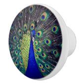 Cobalt Blue Peacock Keramikknauf (Rechts)