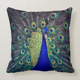 Cobalt Blue Peacock Kissen