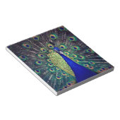 Cobalt Blue Peacock Notizblock (angewinkelt)