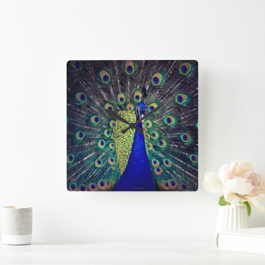 Cobalt Blue Peacock Quadratische Wanduhr (Zuhause)