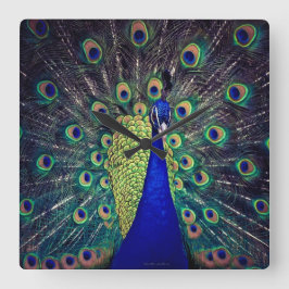 Cobalt Blue Peacock Quadratische Wanduhr