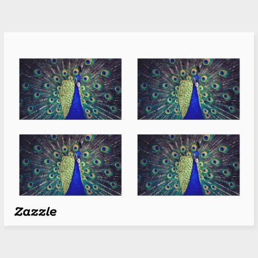 Cobalt Blue Peacock Rechteckiger Aufkleber (Blatt)