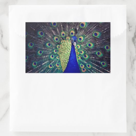 Cobalt Blue Peacock Rechteckiger Aufkleber (Tasche)