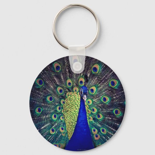 Cobalt Blue Peacock Schlüsselanhänger (Vorderseite)