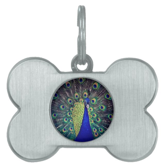 Cobalt Blue Peacock Tiermarke (Vorderseite)