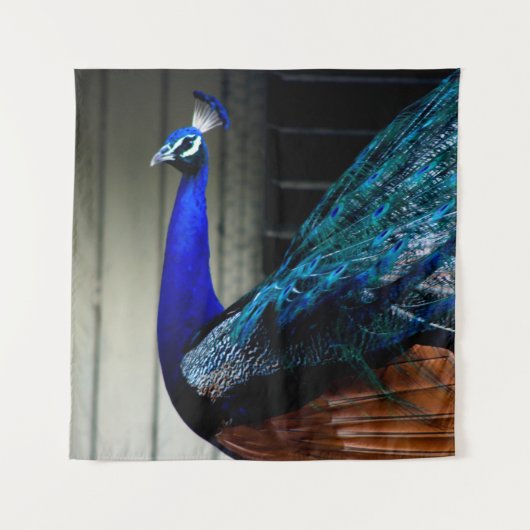 Cobalt Blue Peacock Wandteppich (Vorderseite (Horizontal))