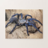 Cobalt Blue Tarantula Spider Puzzle (Horizontal)