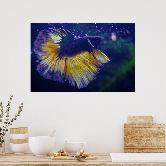 Cobalt Male Betta Premium Poster (Küche)