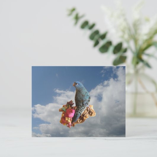 Cobaltlinie Postkarte (Stehend Vorderseite)