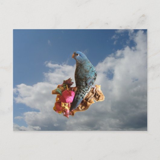 Cobaltlinie Postkarte (Vorderseite)