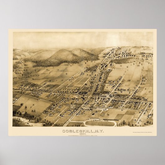 Cobbleskill, NY Panoramic Map - 1883 Poster (Vorne)