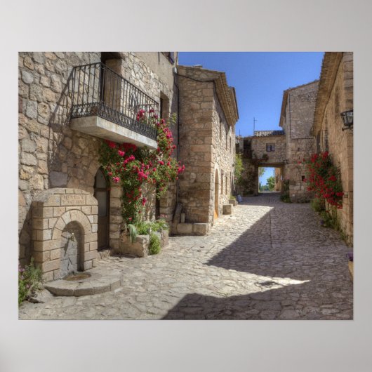 Cobblestone street, stone buildings, historic poster (Vorne)