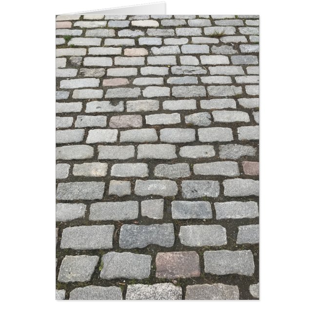 Cobblestone Walkway, Central Park, New York City (Vorne)