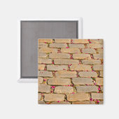 Cobblestone-Wanderdetails Magnet (Vorderseite/Rückseite)