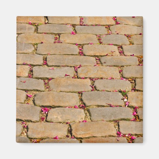 Cobblestone-Wanderdetails Magnet (Vorne)