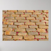 Cobblestone-Wanderdetails Poster (Vorne)