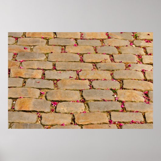 Cobblestone-Wanderdetails Poster (Vorne)