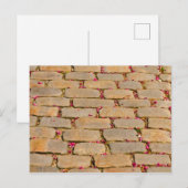 Cobblestone-Wanderdetails Postkarte (Vorne/Hinten)