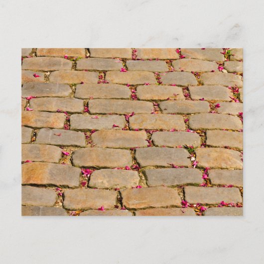 Cobblestone-Wanderdetails Postkarte (Vorderseite)