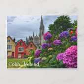 Cobh Irland, Hydrangeas, Postkarte (Vorderseite)