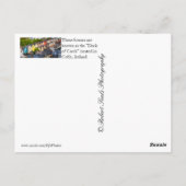 Cobh, Irland Postkarte (Rückseite)