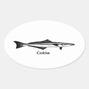 Cobia-Fisch Ovaler Aufkleber