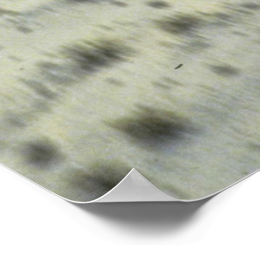 Cobra AH-1S Poster (Ecke)