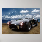 Cobra Classic Poster (Vorne)