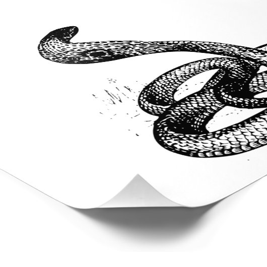 Cobra Fotodruck (Ecke)