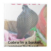 Cobra in Basket Art Print Fliese (Vorderseite)