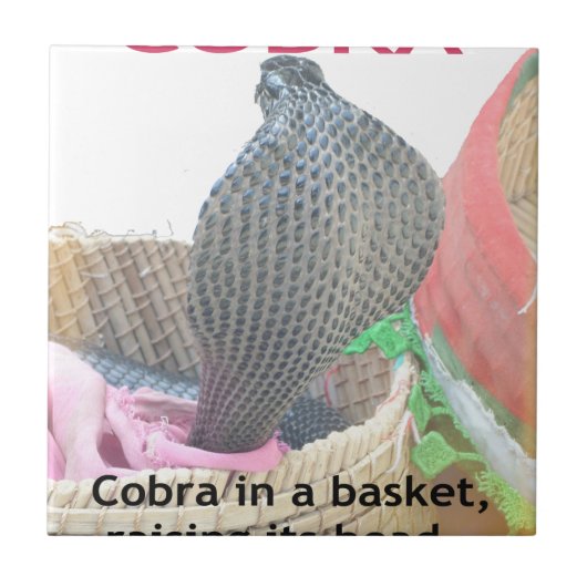 Cobra in Basket Art Print Fliese (Vorderseite)