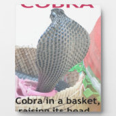 Cobra in Basket Art Print Fotoplatte (Vorderseite)