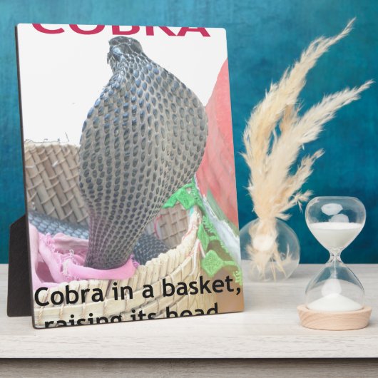 Cobra in Basket Art Print Fotoplatte (Seite)