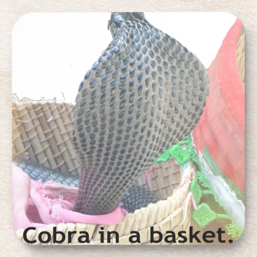 Cobra in Basket Art Print Getränkeuntersetzer (Vorderseite)