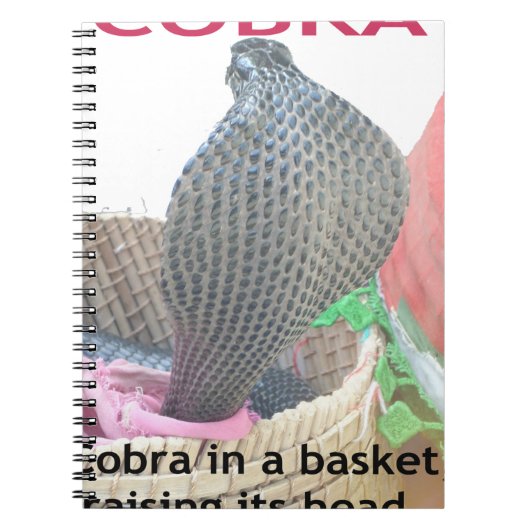 Cobra in Basket Art Print Notizblock (Vorderseite)
