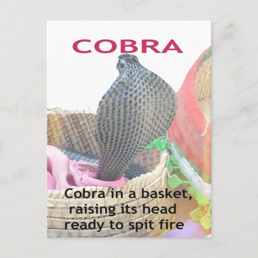 Cobra in Basket Art Print Postkarte (Vorderseite)