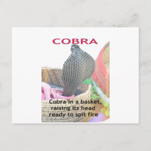 Cobra in Basket Art Print Postkarte