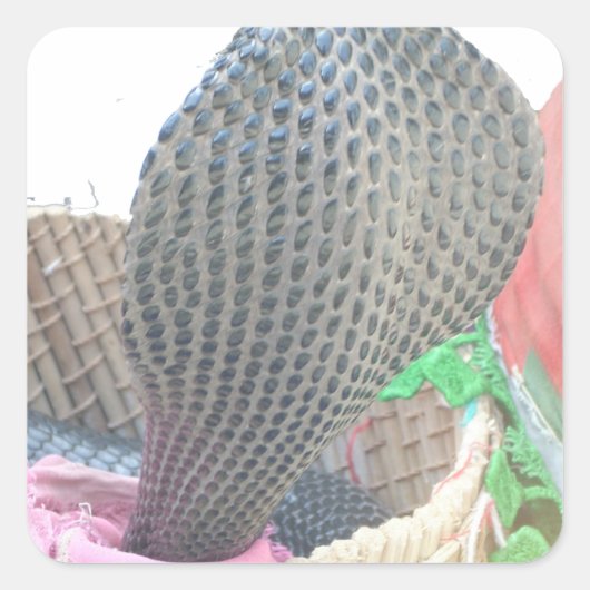 Cobra in Basket Art Print Quadratischer Aufkleber (Vorderseite)