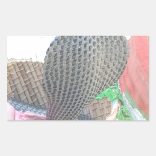 Cobra in Basket Art Print Rechteckiger Aufkleber (Vorderseite)