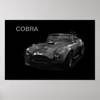 COBRA POSTER