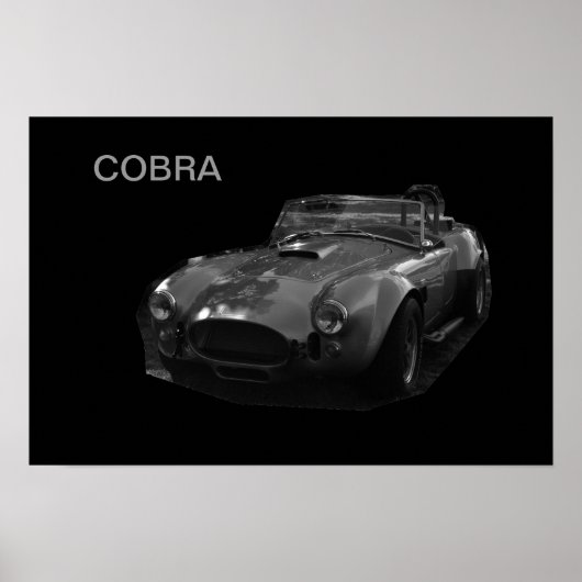 COBRA POSTER (Vorne)