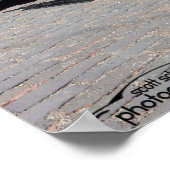 Cobra-Poster Poster (Ecke)