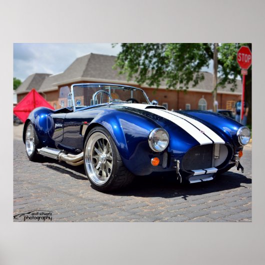 Cobra-Poster Poster (Vorne)