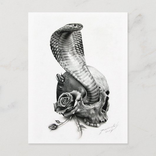 COBRA Postkarte (Vorderseite)