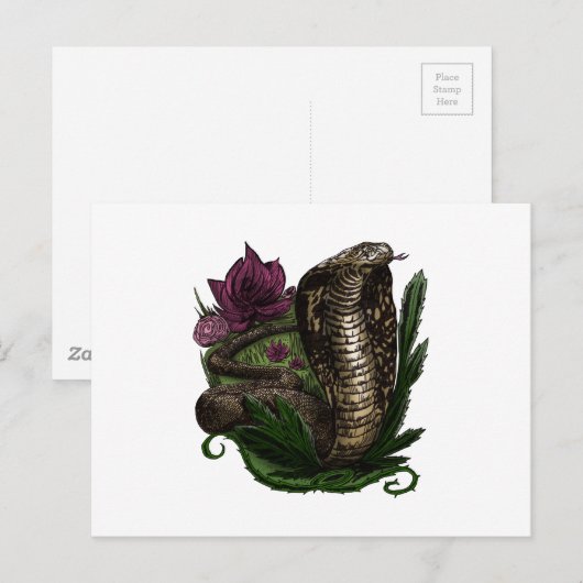 Cobra Postkarte (Vorne/Hinten)