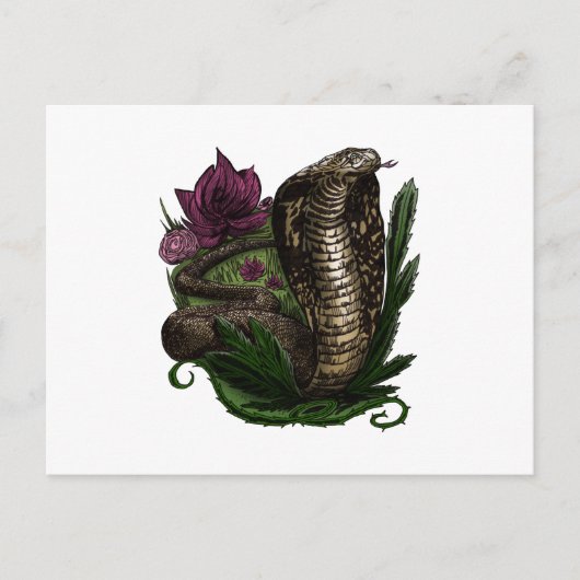 Cobra Postkarte (Vorderseite)