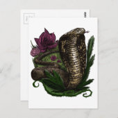 Cobra Postkarte (Vorne/Hinten)