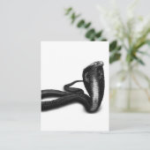 Cobra Postkarte (Stehend Vorderseite)